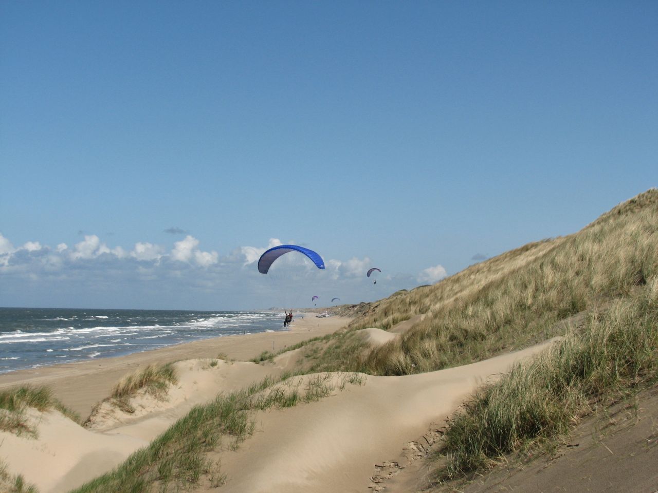 dune_soaring1.jpg